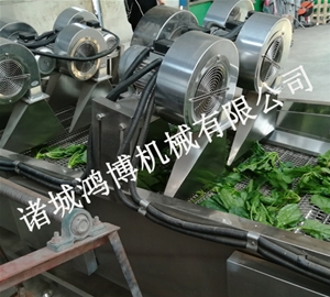 肉類(lèi)風(fēng)干設(shè)備